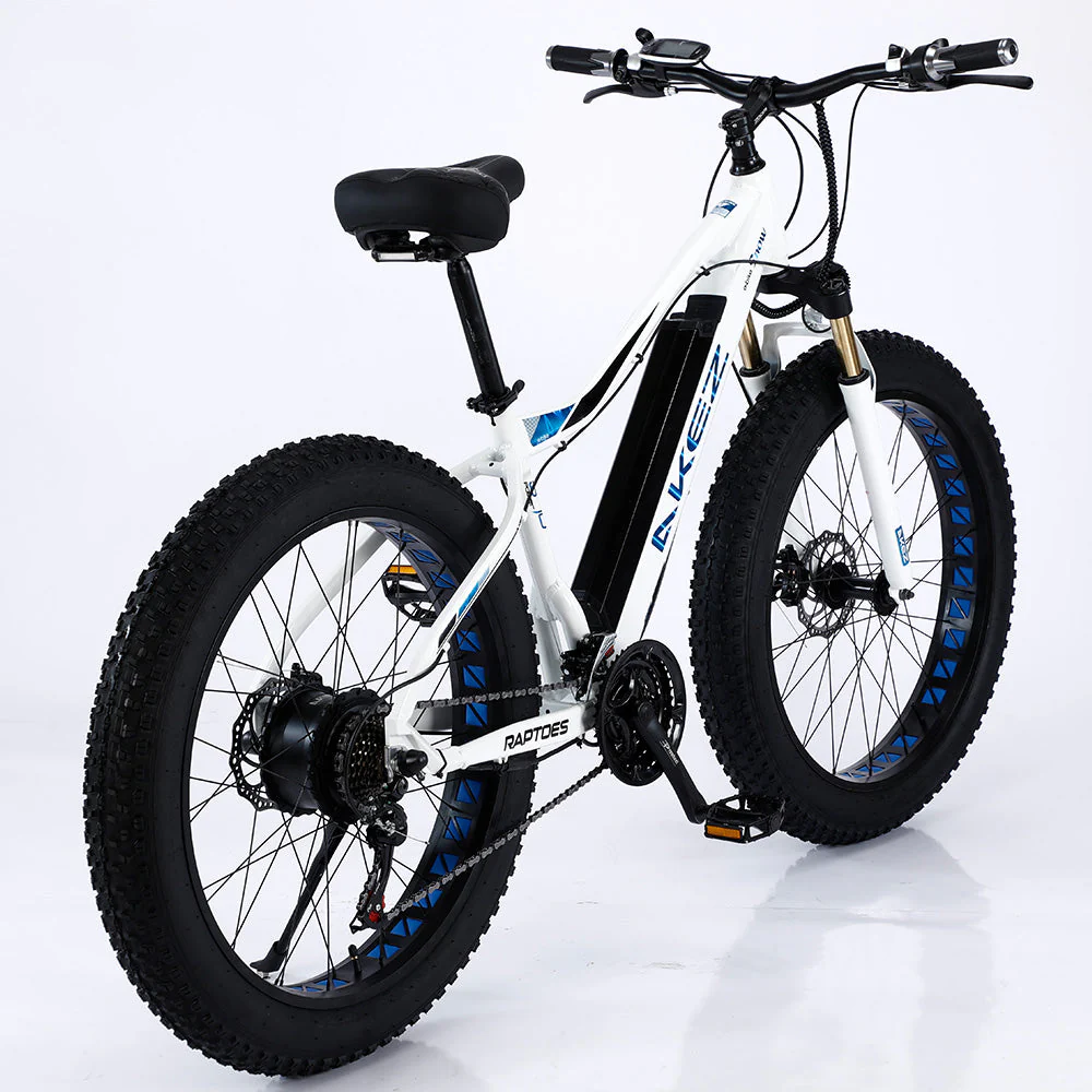 AKEZ 750W 48V ML Snow Bicycle 26-inch Beach Electric Bike Motorized eBike Battery - Image 11