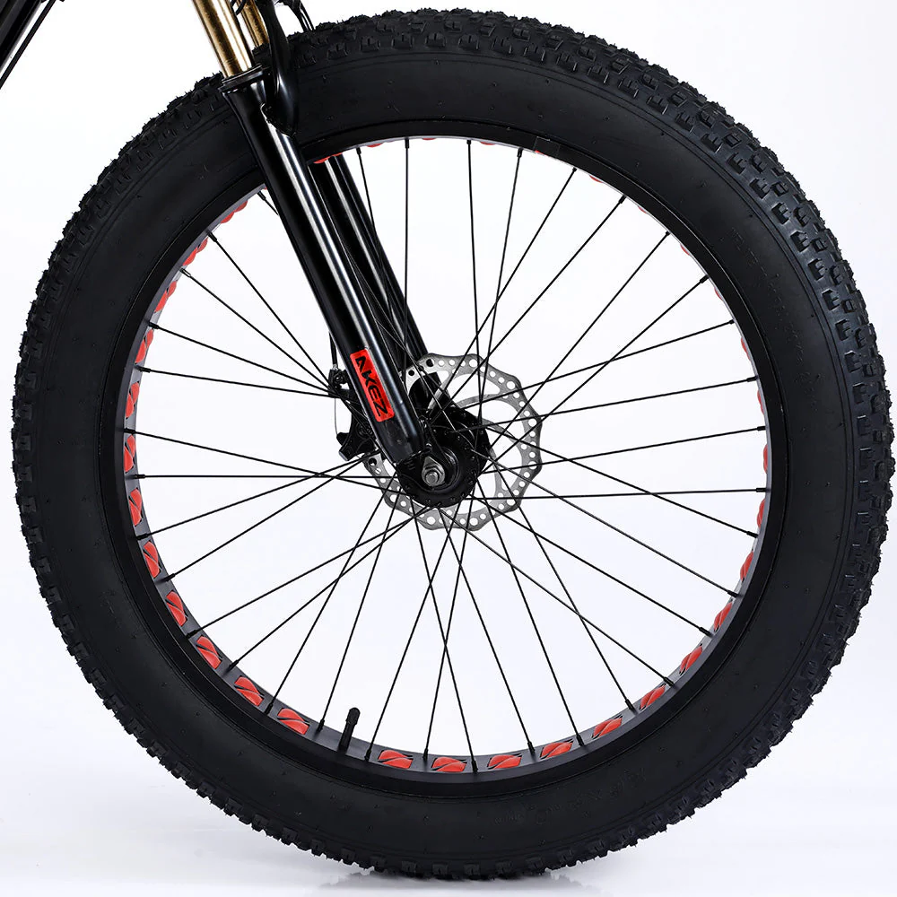AKEZ 750W 48V ML Snow Bicycle 26-inch Beach Electric Bike Motorized eBike Battery - Image 15