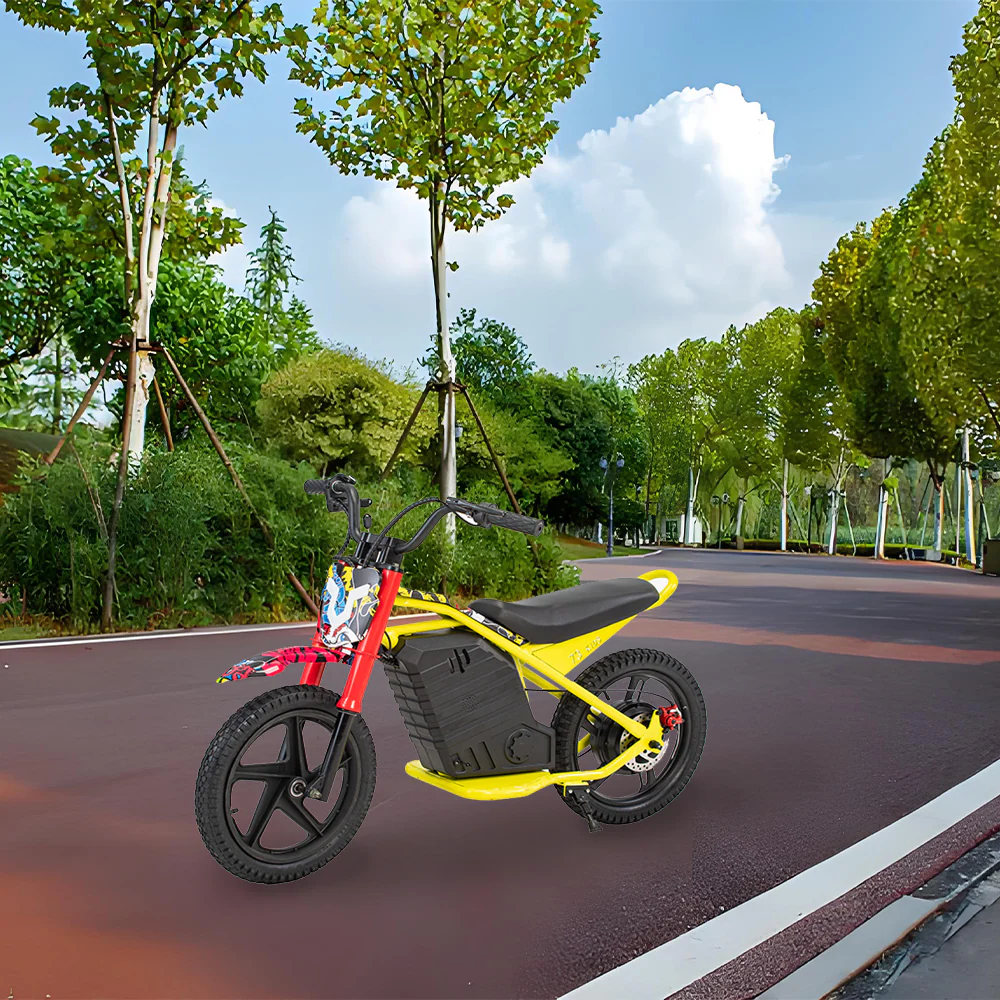 GLIDER HALLEY MY-12 350W 247V 5.2/6.0/7.8AH Lithium Battery Electric Motorbike/Motorcycle/Scooter Cruise at 25km/h - Unlock More Power (Details Inside)* - Image 7