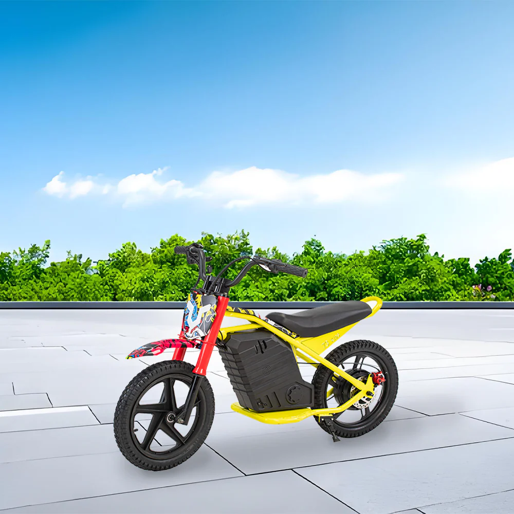 GLIDER HALLEY MY-12 350W 247V 5.2/6.0/7.8AH Lithium Battery Electric Motorbike/Motorcycle/Scooter Cruise at 25km/h - Unlock More Power (Details Inside)* - Image 8