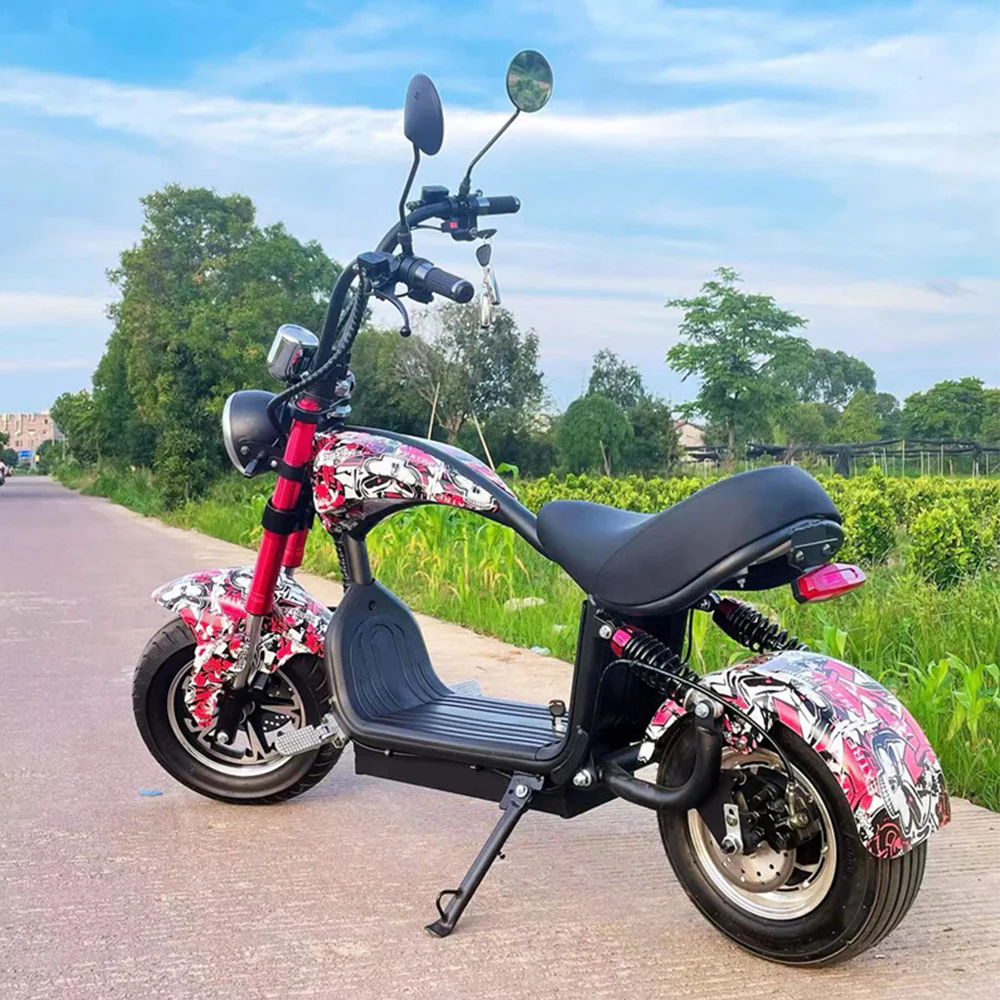 GLIDER HALLEY MY-M13 1000-1500W 48V 12-20AH Lithium Battery Electric Motorbike/Motorcycle/Scooter Cruise at 25km/h - Unlock More Power (Details Inside)* - Image 21