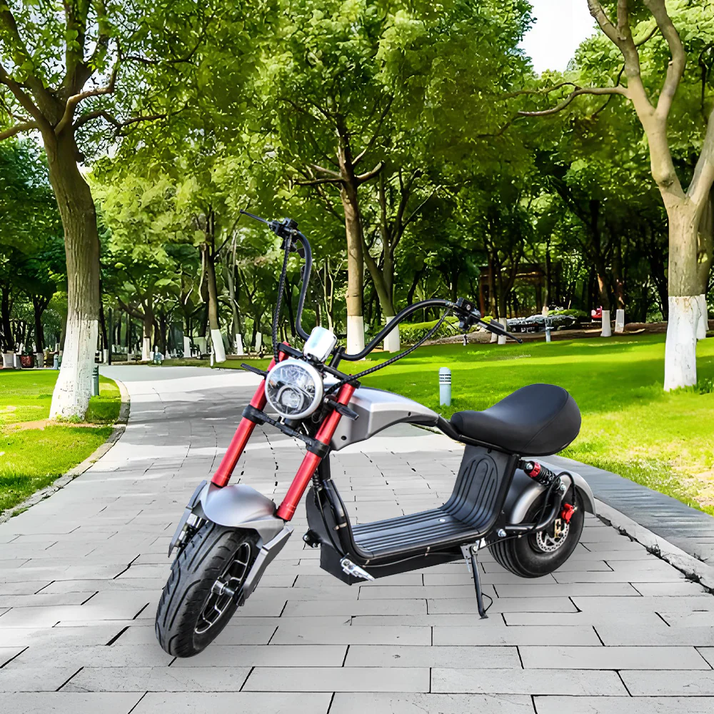 GLIDER HALLEY MY-M13 1000-1500W 48V 12-20AH Lithium Battery Electric Motorbike/Motorcycle/Scooter Cruise at 25km/h - Unlock More Power (Details Inside)* - Image 8
