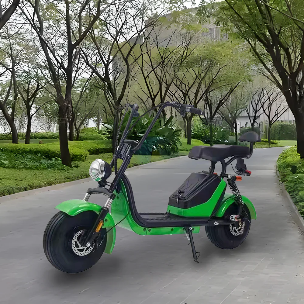 GLIDER HALLEY MY X17 1000W 48V 12-20AH Lithium Battery Electric Motorbike/Motorcycle/Scooter Cruise at 25km/h - Unlock More Power (Details Inside)* - Image 7