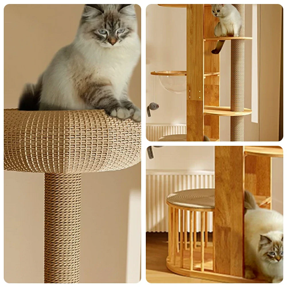 PAWORA Indoor Cat Tree - Solid Wood Multi-Level Scratching Tower with Capsule Cat House - Natural Wood - Image 3