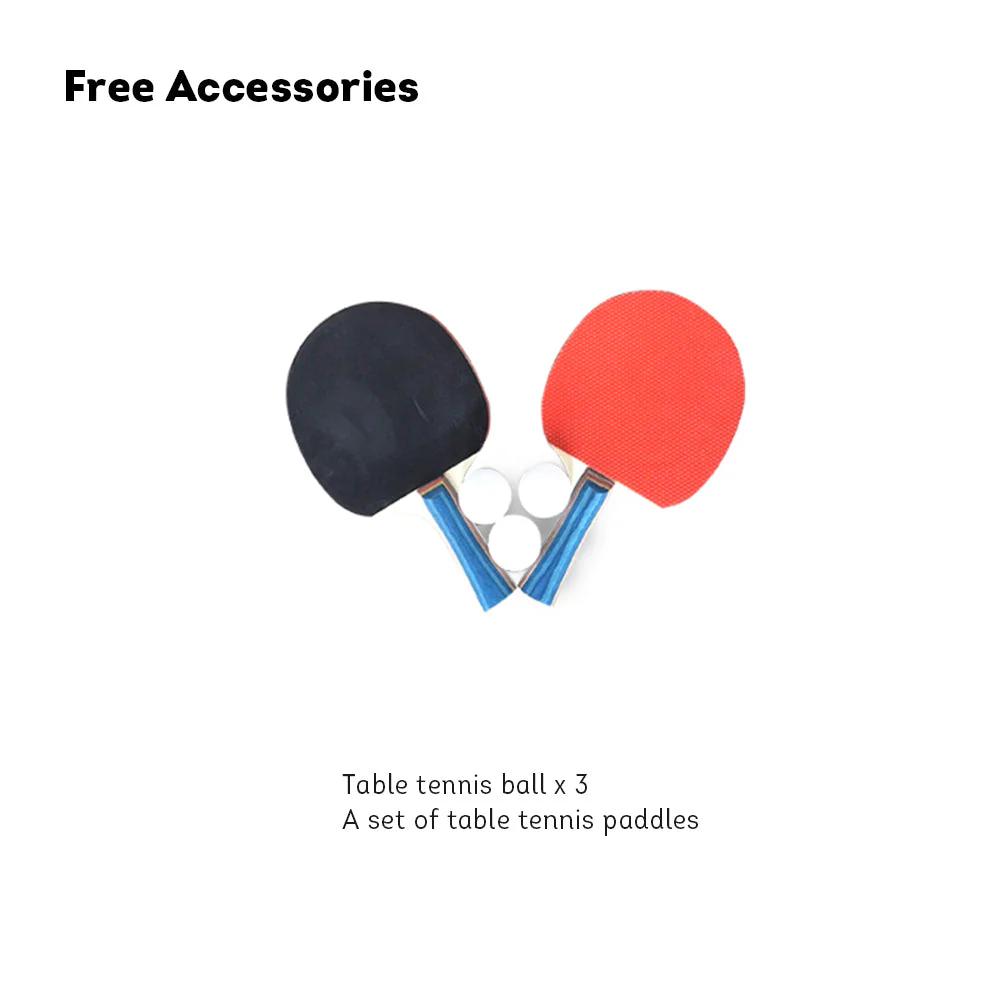 DOUBLE FISH SW318A Outdoor Waterproof Blue Table Tennis Pingpong Table/Bats Balls Net ITTF Approve - Image 5