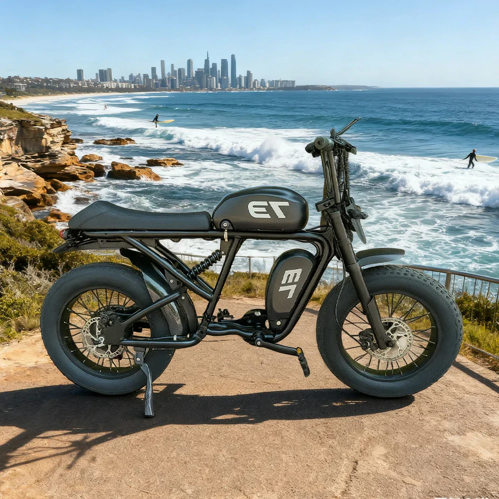 VOLTUS Z02 Electric Bike 48V13Ah 500W Fat Tyre Retro-Style E-Bike Durable Steel Frame - Black - Image 2