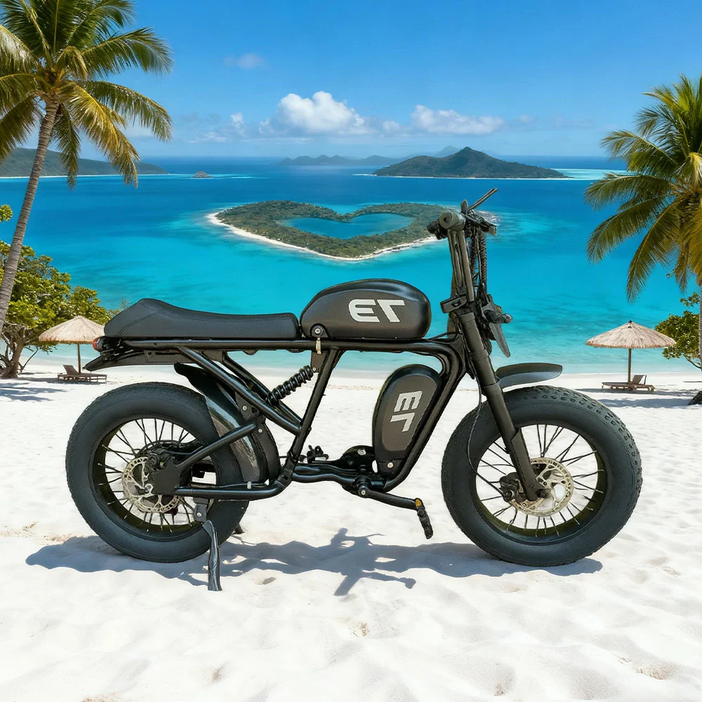 VOLTUS Z02 Electric Bike 48V13Ah 500W Fat Tyre Retro-Style E-Bike Durable Steel Frame - Black - Image 4